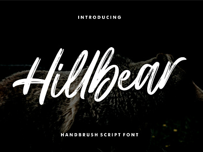 Hillbear - Handbrush Script Font boldscript brush brushpen calligraphy font handbrush handdrawn handlettering handwritten handwritting letter logotype modern script typography