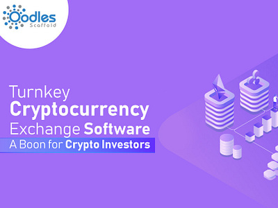turnkey crypto exchange bitcoin pinigų indėlis