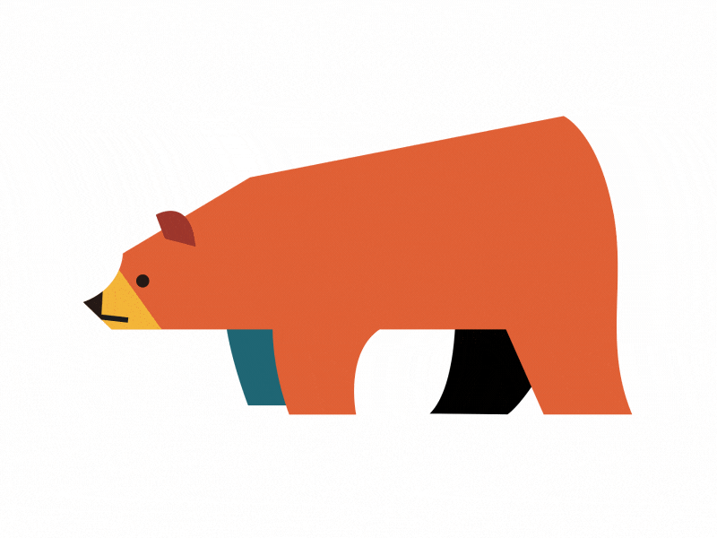 Bear animal animation bear character illustration walking