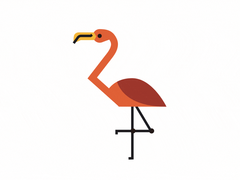 Flamingo animal animation character flamingo illustration walk