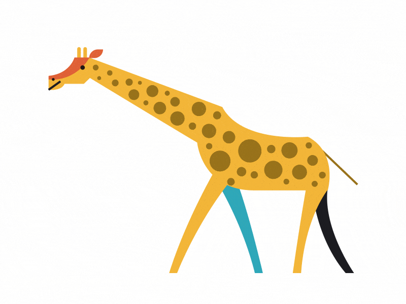 Giraffe animal animation character giraffe illustration walk