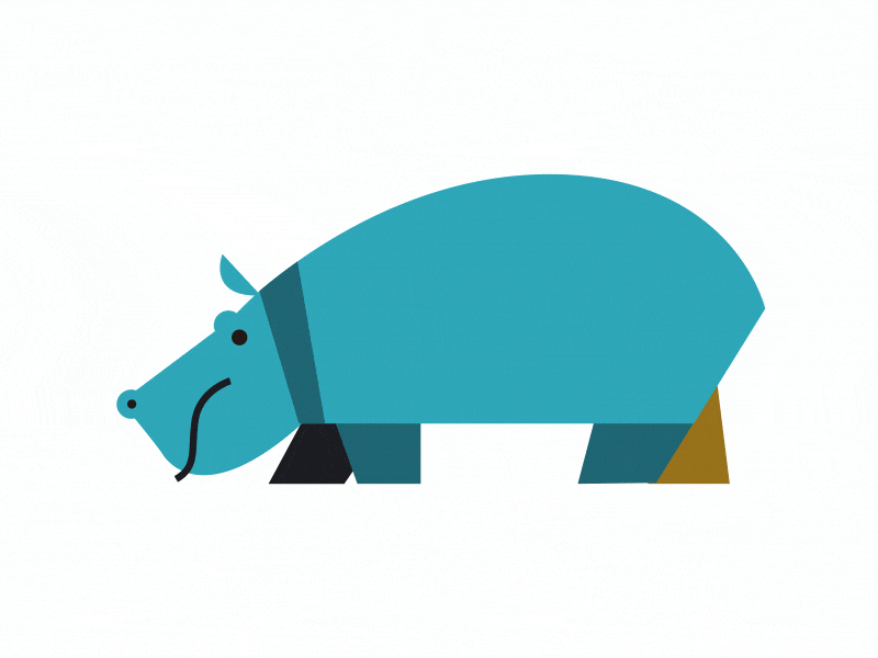 Hippopotamus animal animation character hippopotamus illustration walk