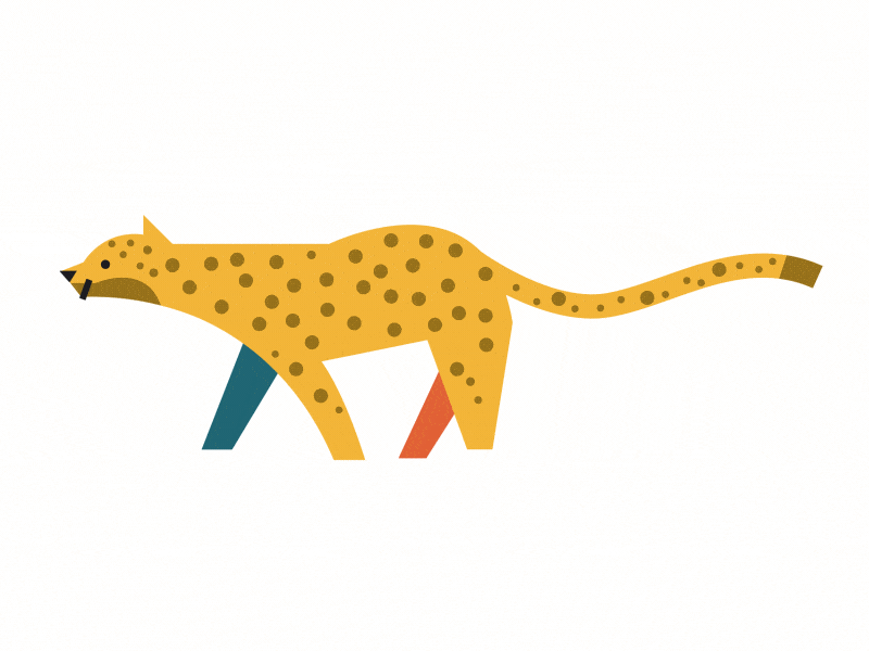 Leopard animal animation character illustration leopard walk