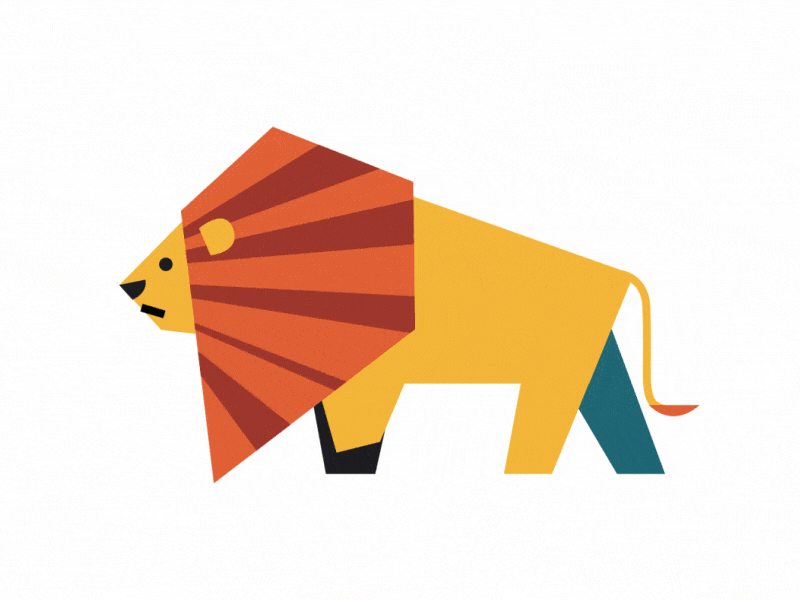 Lion animal animation character illustration lion walk