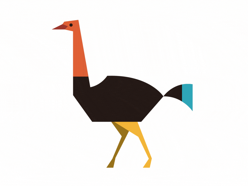 Ostrich animal animation character illustration ostrich walk