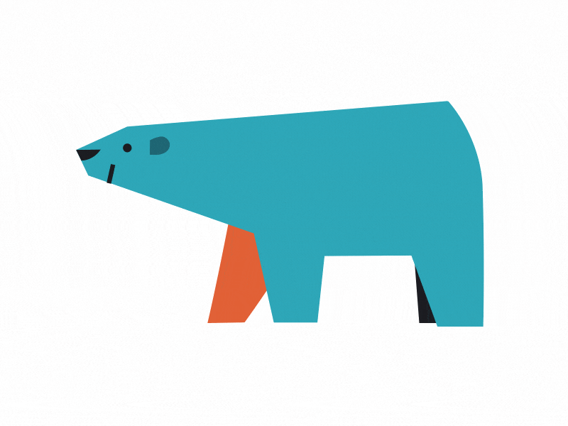 Polar Bear animal animation character illustration polar bear walk