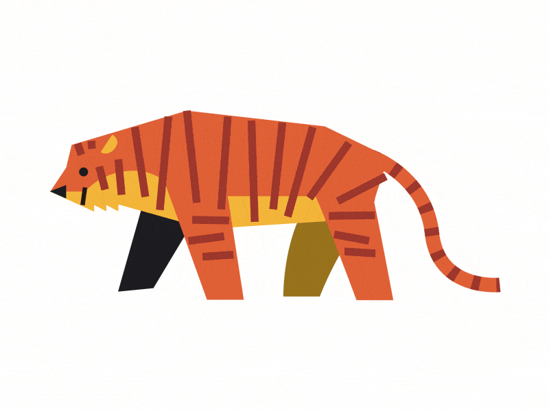 Tiger animal animation character illustration tiger walk