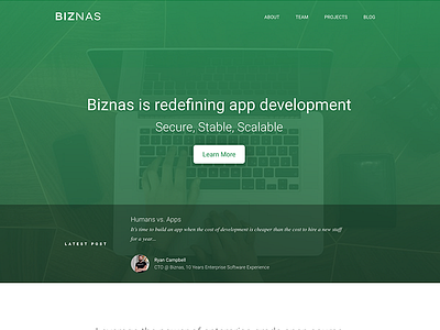 Biznas Homepage landing page ui website