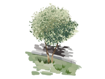 tree art illustration