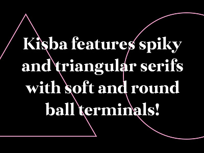 The features of Kisba ball terminal branding design font serif type design typography
