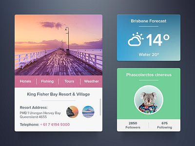 Widgets Set [Freebie]