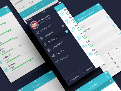 Finance iPhone App [New palette] app budgets finance ios7 ipad iphone secret ui