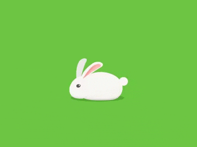 Rabbit animal animation eating nice