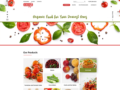 Multi-page canned food website design designer eco eko foodshop multipage organic organic food photoshop testy testy design ui ux webdesign