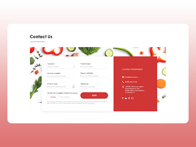 Contact Form colorful design colors contact form design eco foodshop organic photoshop testy ui ux webdesign