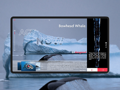 Act Now Landing Page