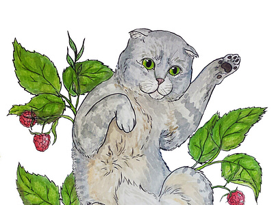 Watercolor cat illustration