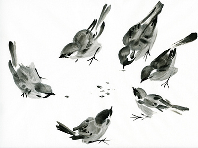 sparrows