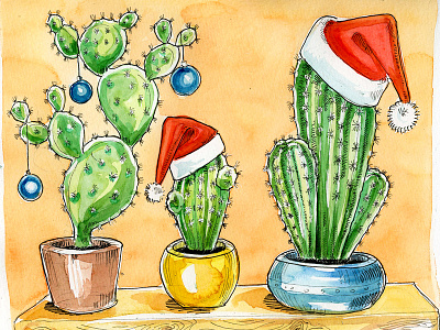 X-mas succulents