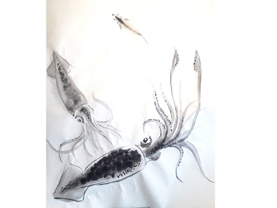 Squids hunting graphic art illustration ink painting nature illustration sumie