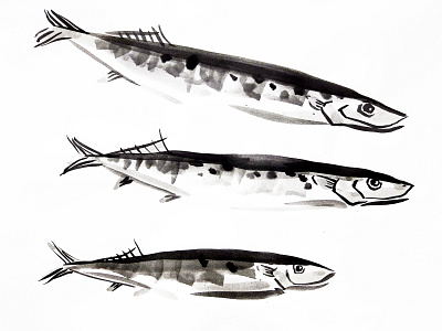 Saury fishes animal art fish graphic art illustration ink painting nature illustration saury sumie