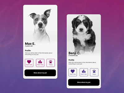 Pet health app Concept