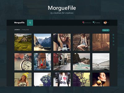 Morgue File Redesign clean dark minimal photo photostock redesign simple design ui ux web
