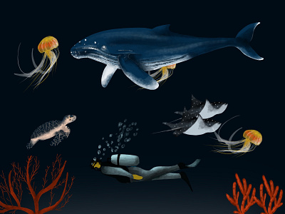 Ocean art design digital drawing illustration jellyfish ocean swimming underwater whale