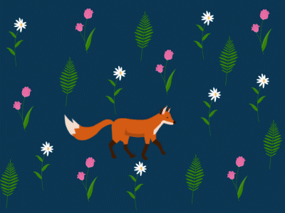 Gif aftereffect animation art color design digital drawing flowers fox illustration motion graphic vector