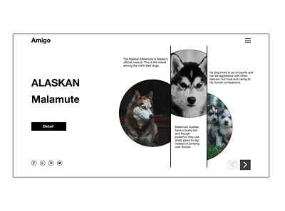 Husky Landing Page color design ui web