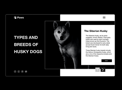 Husky dog blog color design ui web