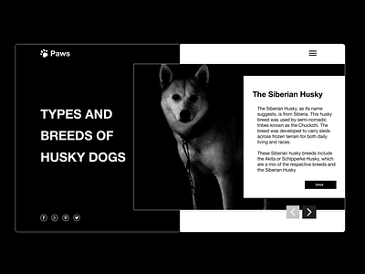 Husky dog blog