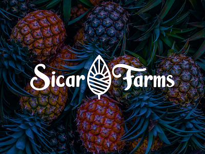 SicarFarms brand brand design brand identity company logo field fruits isologo isotype landscape sun sunrise symbol typogaphy