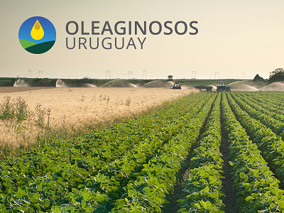 Oleaginosos Uruguay brand graphic stationery web
