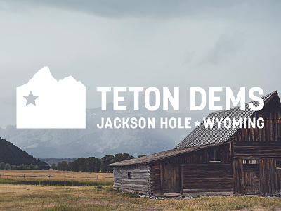 Teton Dems Identity brand branding democrat identity jackson hole korolev logo mountain political politics wyoming