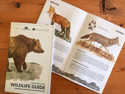 Wildlife Guide - Wyoming Wildlife Advocates
