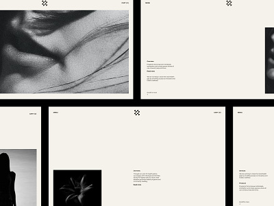 Darwin Website branding design graphic design layout