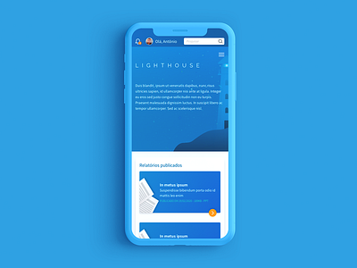 Lighthouse Finance App app brazil design finance reports and data ui