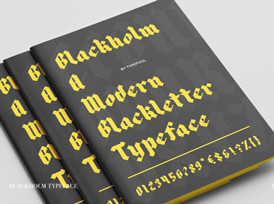 Blackholm Blackletter promotional 2§ blackletter blackletters bold brandlogo graphicdesign logo logodesign logomark modern modern calligraphy type typo typography typography art typography design