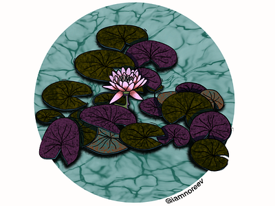 Nénuphar 〰️ Waterlily illustration procreate ipad