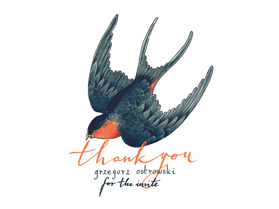 Thank you, Grzegorz! debut swallow thank you thanks