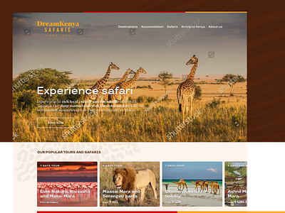 DreamKenya Safaris brown red ux website yellow