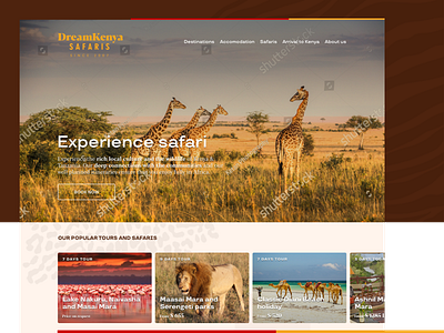 DreamKenya Safaris