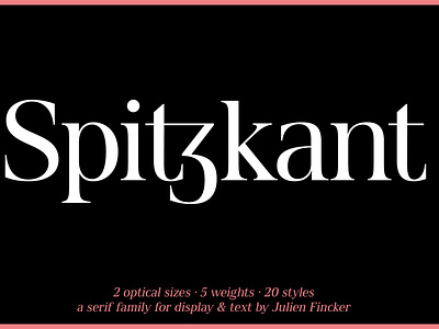 Spitzkant Font Family branding design editorial font fontdesign graphic type typedesign typeface typography