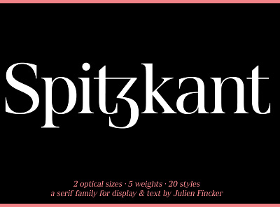 Spitzkant Font Family branding design editorial font fontdesign graphic type typedesign typeface typography