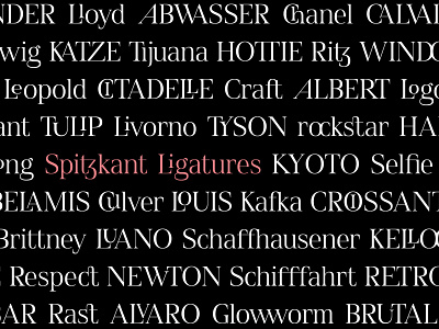 Spitzkant Font Family Ligatures