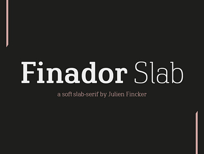 Finador Slab Font Family branding design editorial font graphic graphicdesign logo typedesign typeface typography