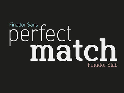 Finador Sans & Slab Font Family branding design editorial font graphicdesign logo packaging typedesign typeface typography