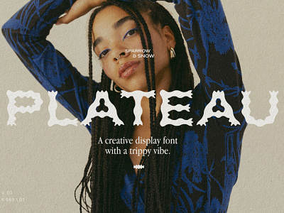 Plateau Font - Creative display font with a trippy vibe animation branding canva font design fonts graphic design instagram template logo logo font plateau font vibe font
