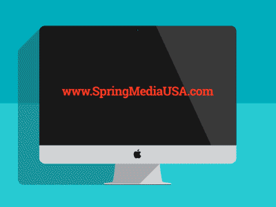 Spring Website Reveal responsive design web design after effects animation logo